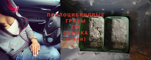 гидропоника Алексеевка